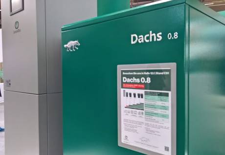 Dachs 0.8