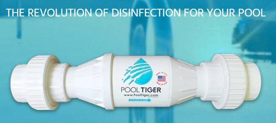 pooltiger 2