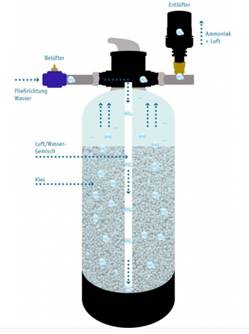 ammonium 4