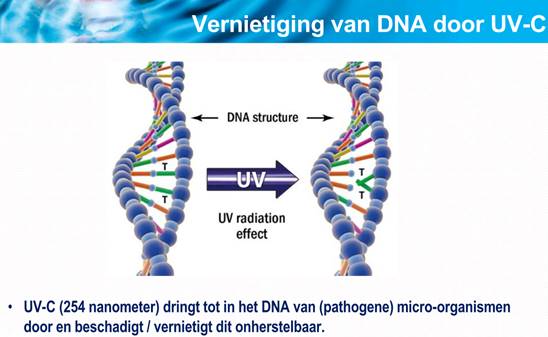 DNA vernietiging