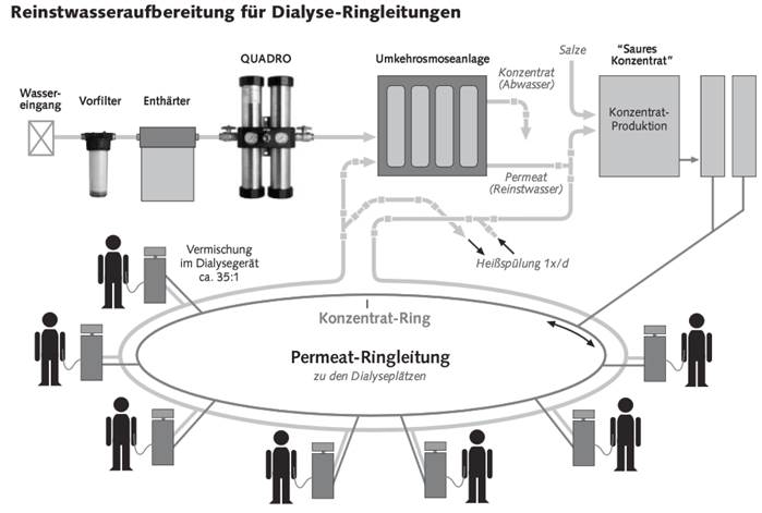 nierdialyse