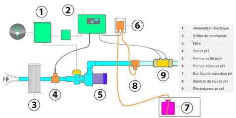 schema